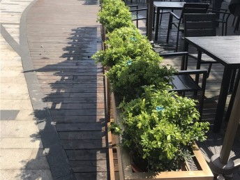 上海別墅庭院花園 從設(shè)計(jì)施工到綠化養(yǎng)護(hù)的全流程指南